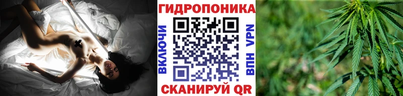Гашиш Снежногорск