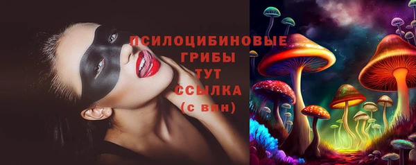 мяу мяу мука Алексеевка