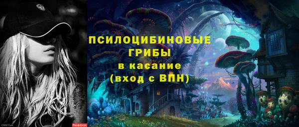 герыч Алексин