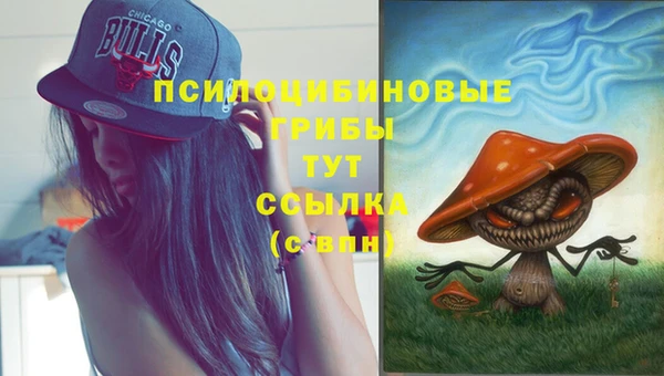 мяу мяу мука Алексеевка