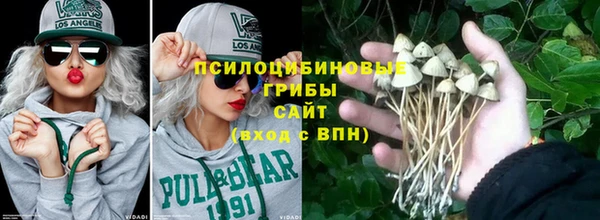 герыч Алексин